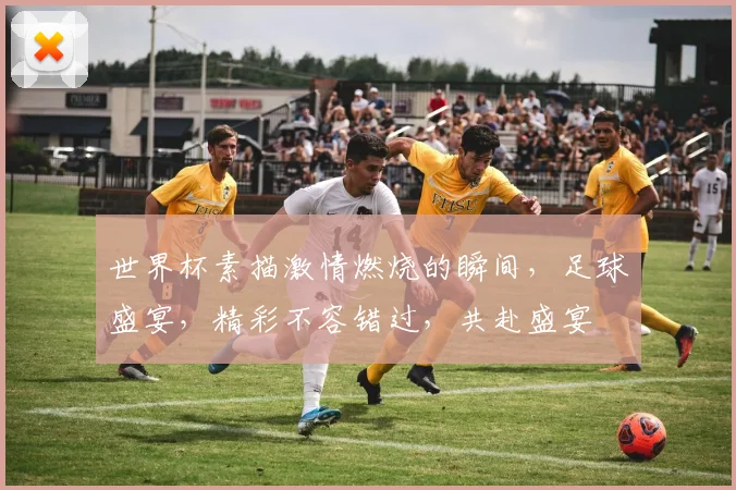 世界杯素描激情燃烧的瞬间，足球盛宴，精彩不容错过，共赴盛宴
