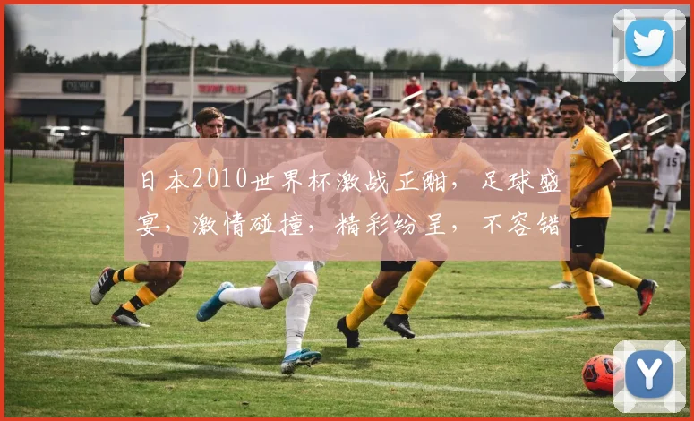 日本2010世界杯激战正酣，足球盛宴，激情碰撞，精彩纷呈，不容错过