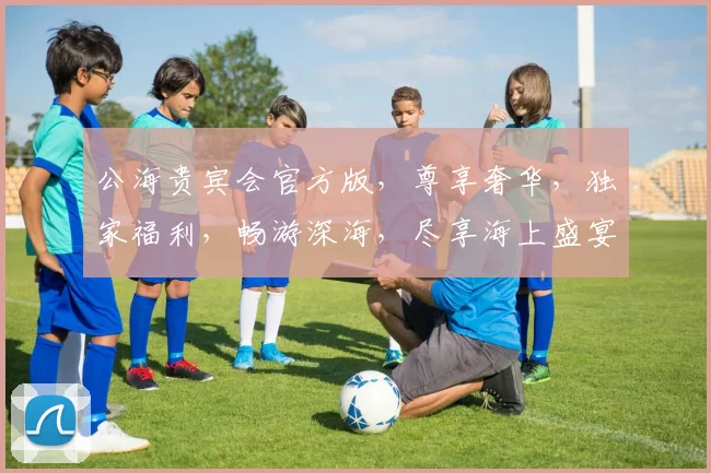 公海贵宾会官方版，尊享奢华，独家福利，畅游深海，尽享海上盛宴，会员特权，一触即达