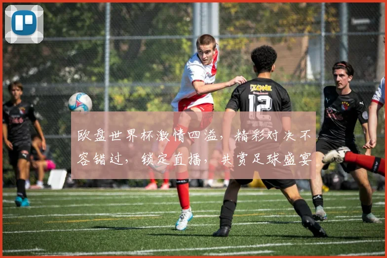 欧盘世界杯激情四溢，精彩对决不容错过，锁定直播，共赏足球盛宴